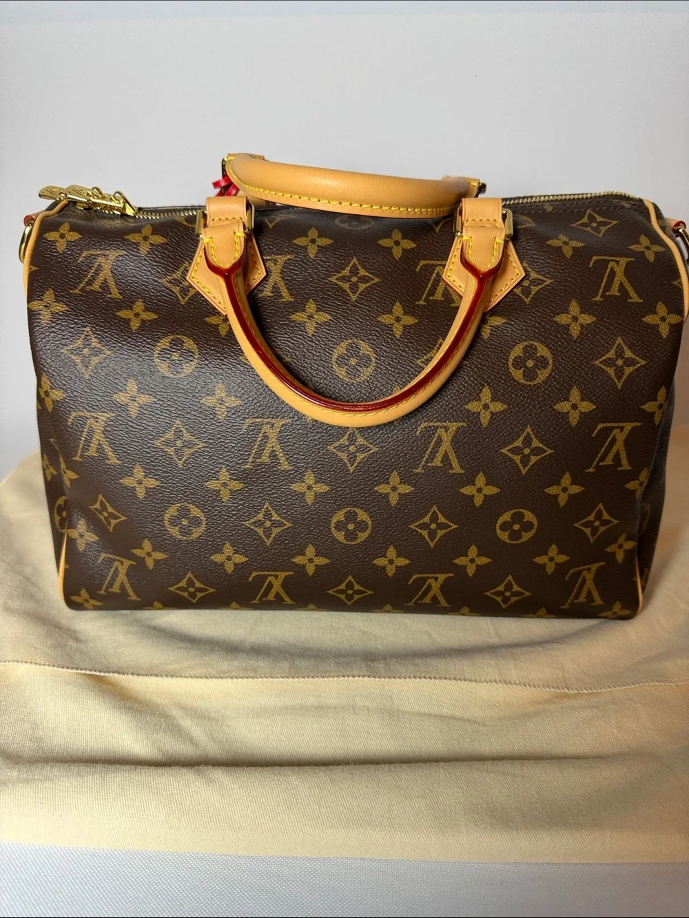 Louis Vuitton Speedy 30 Crafty
